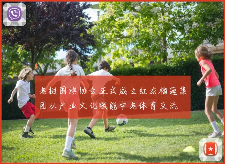 老挝围棋协会正式成立红龙榴莲集团以产业文化赋能中老体育交流