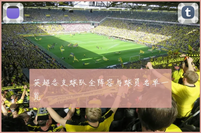 英超各支球队全阵容与球员名单一览