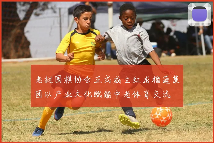 老挝围棋协会正式成立红龙榴莲集团以产业文化赋能中老体育交流