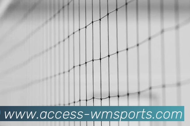 完美体育官网品牌故事