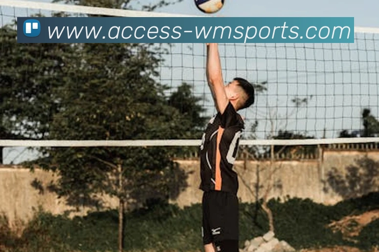 完美体育官网服务体系